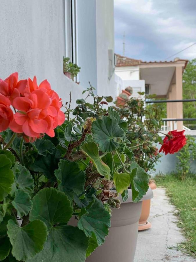 Cleopatra'S Cozy Cottage Keramoti  Ngoại thất bức ảnh